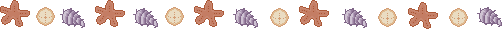 Shells Banner
